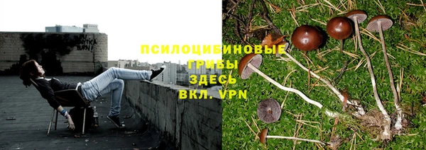 сатива Абаза