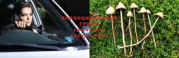 сатива Абаза