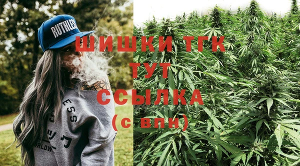 дмт Алексин