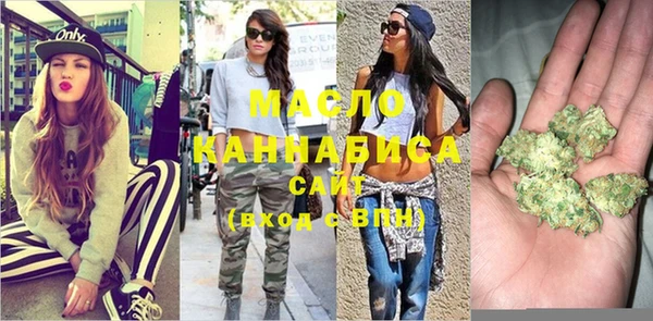 дмт Алексин